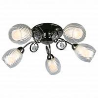 Потолочная люстра Omnilux Anjou OML-31607-05. Фото №1