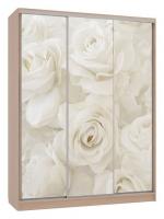 Шкаф-купе Бассо 7-600 розы (полки слева) дуб млечный. Фото №1