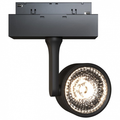 Светильник на штанге Maytoni Track lamps 3 TR024-2-10B3K. Фото