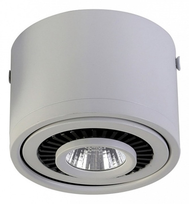 Накладной светильник Favourite Reflector 1775-1C. Фото