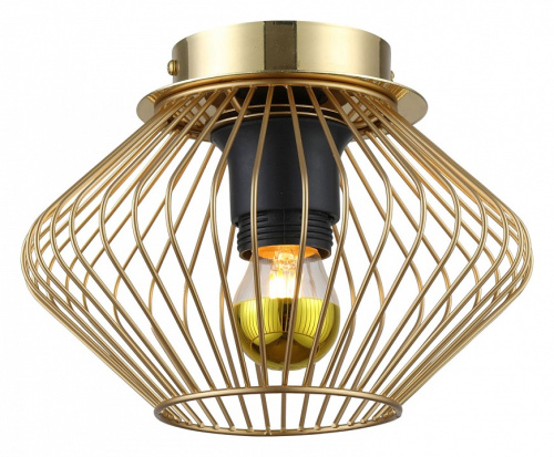 Накладной светильник Lussole Brooks LSP-8248. Фото №1