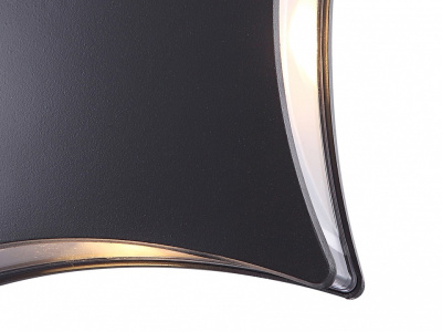 Накладной светильник Globo Evalia 34155. Фото